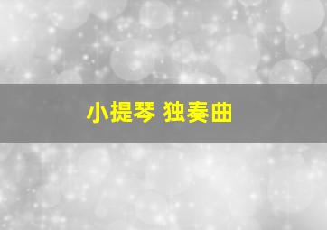 小提琴 独奏曲